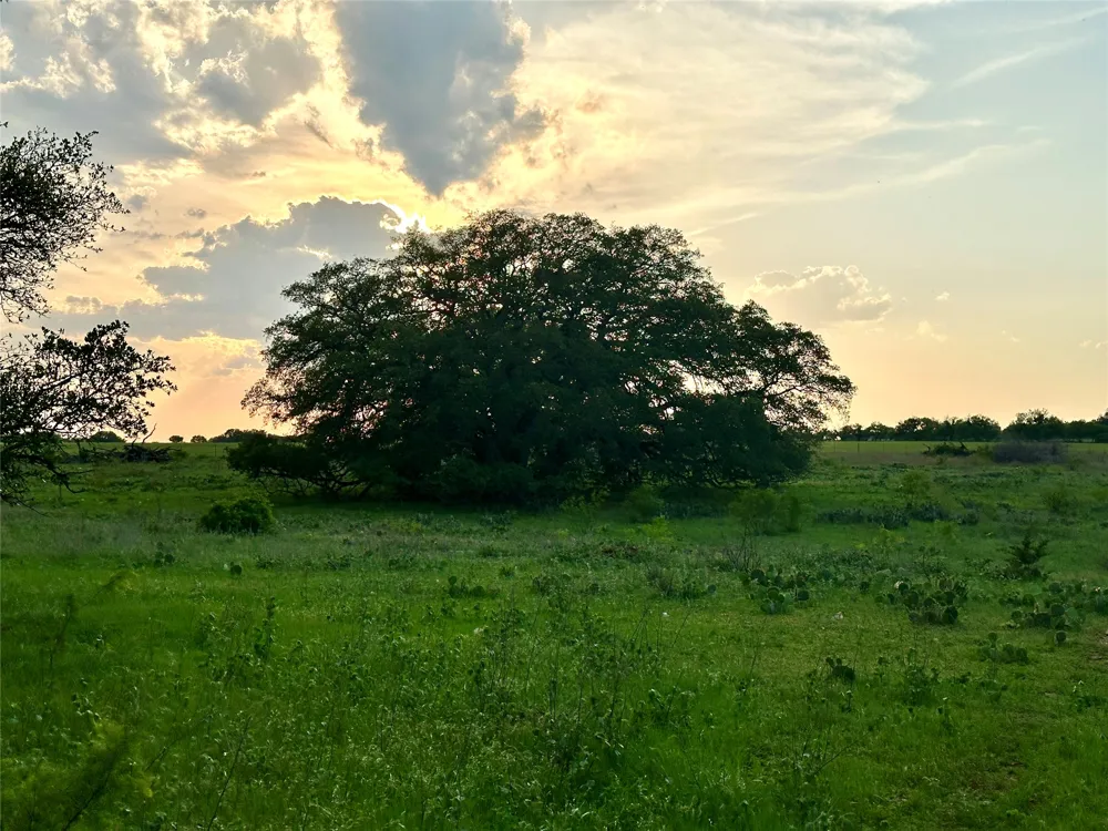FM 3023 Goldthwaite, TX 76844