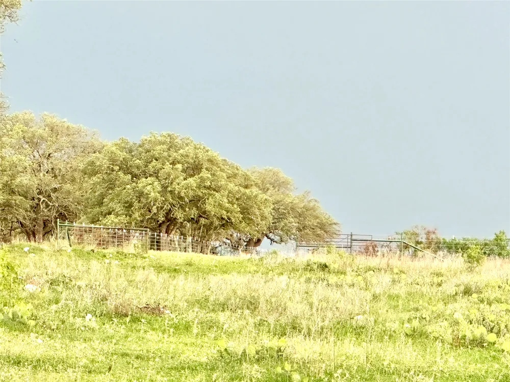 FM 3023 Goldthwaite, TX 76844