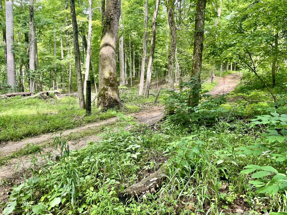 2301 Combes Road Quincy, IN 47456