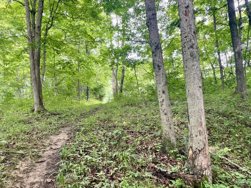 2301 Combes Road Quincy, IN 47456
