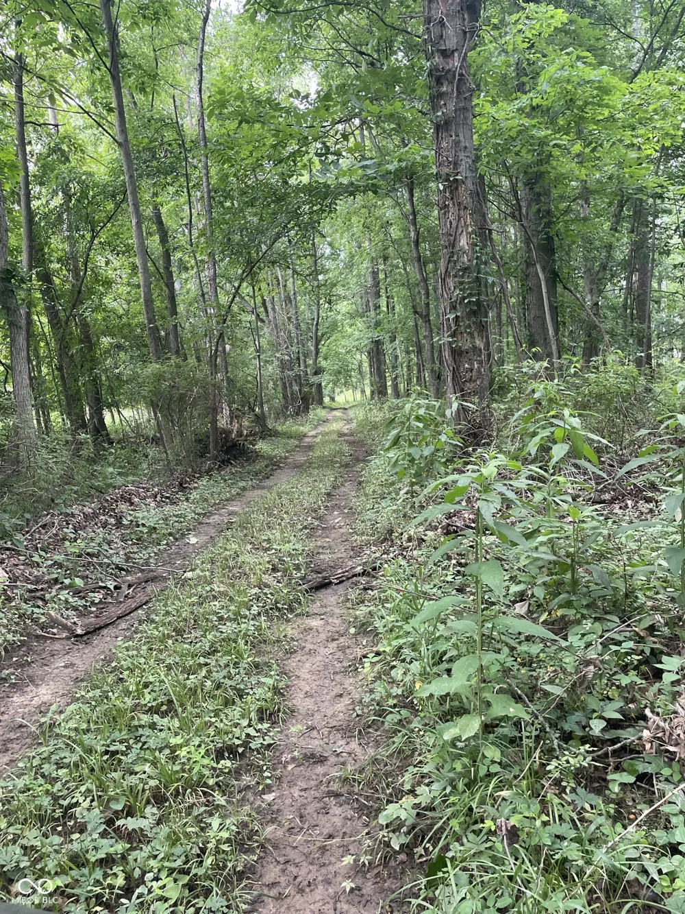 2301 Combes Road Quincy, IN 47456