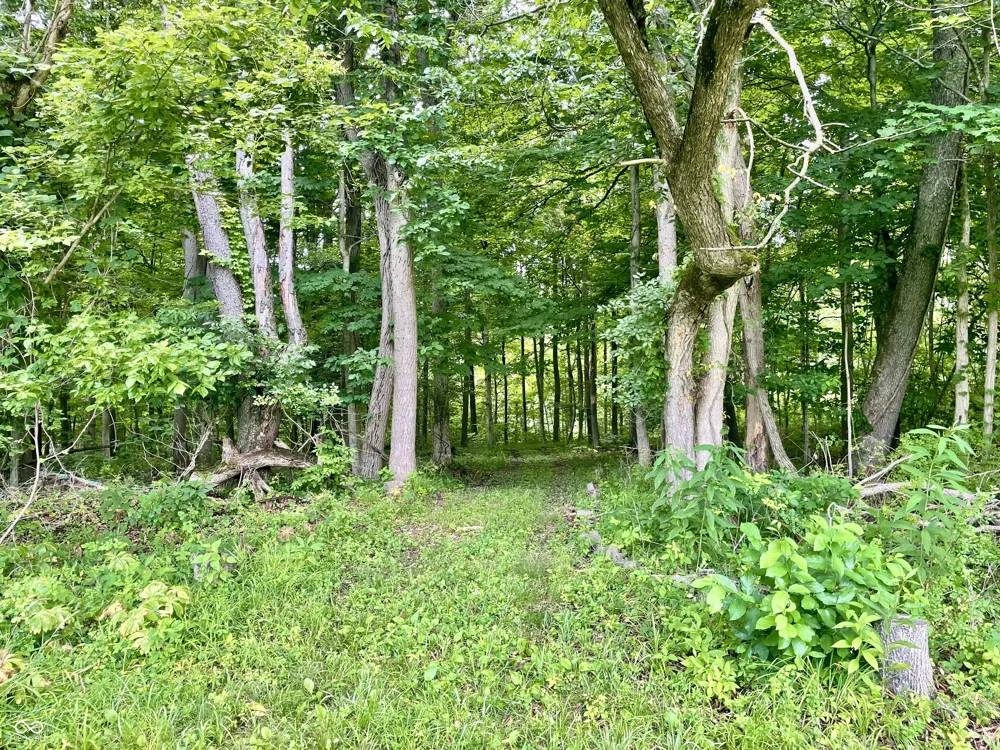 2301 Combes Road Quincy, IN 47456
