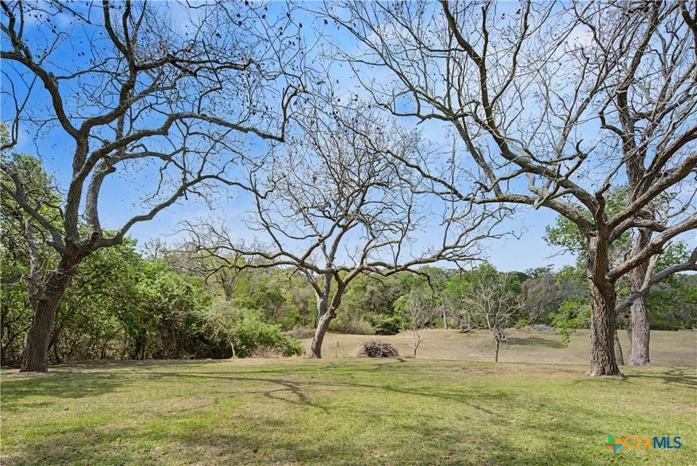 1250 Darst Creek Lane Seguin, TX 78155