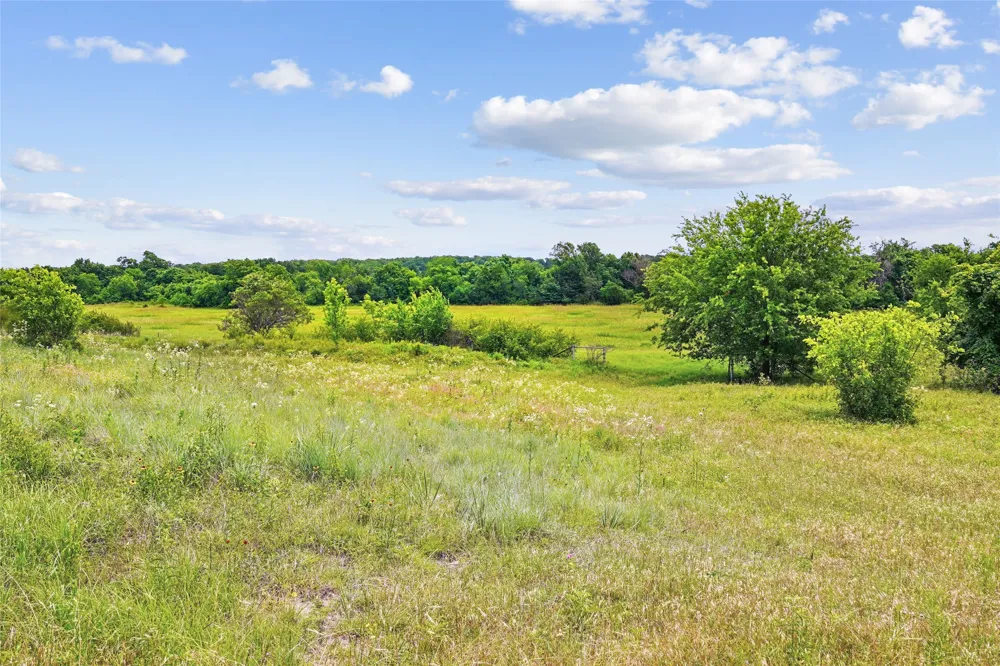 School House Road Forestburg, TX 76239