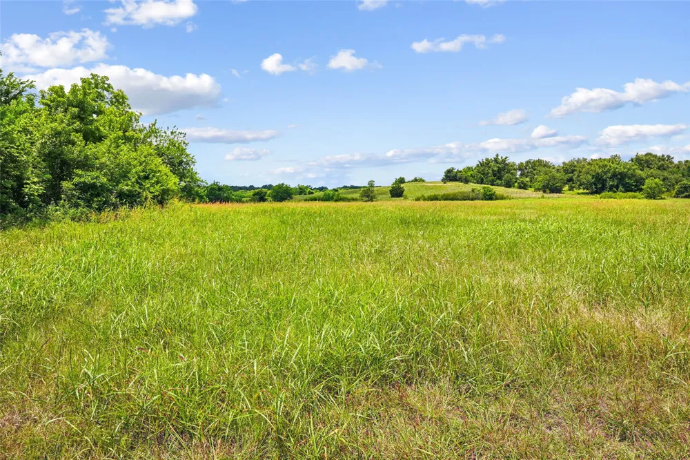 School House Road Forestburg, TX 76239