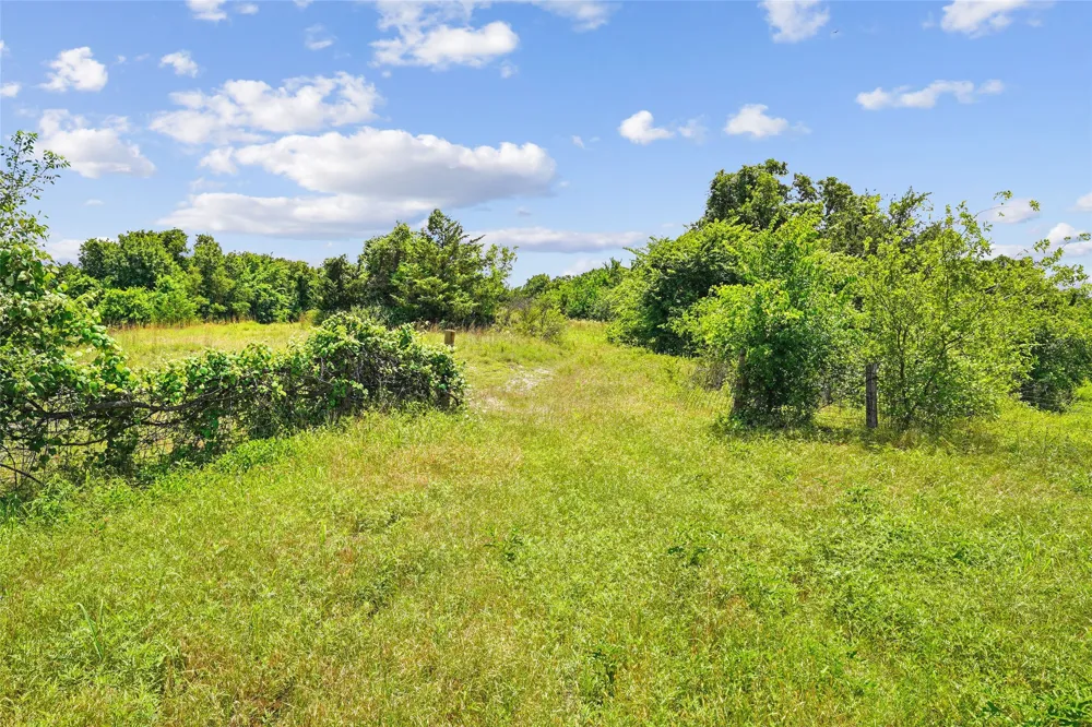 School House Road Forestburg, TX 76239
