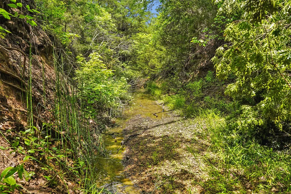 School House Road Forestburg, TX 76239