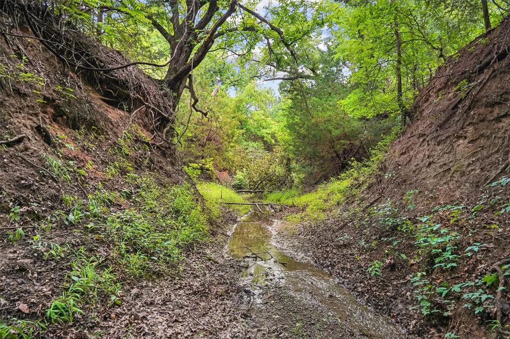 School House Road Forestburg, TX 76239