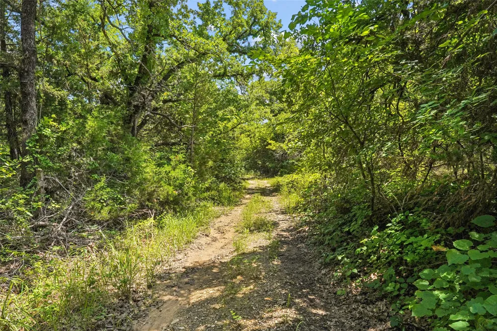 School House Road Forestburg, TX 76239