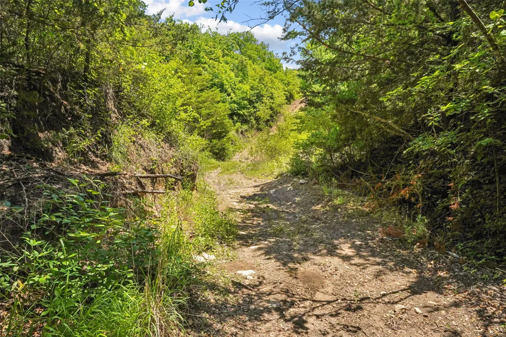 School House Road Forestburg, TX 76239