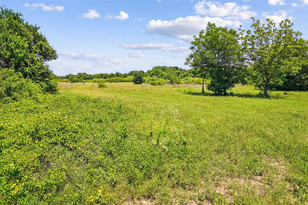 School House Road Forestburg, TX 76239