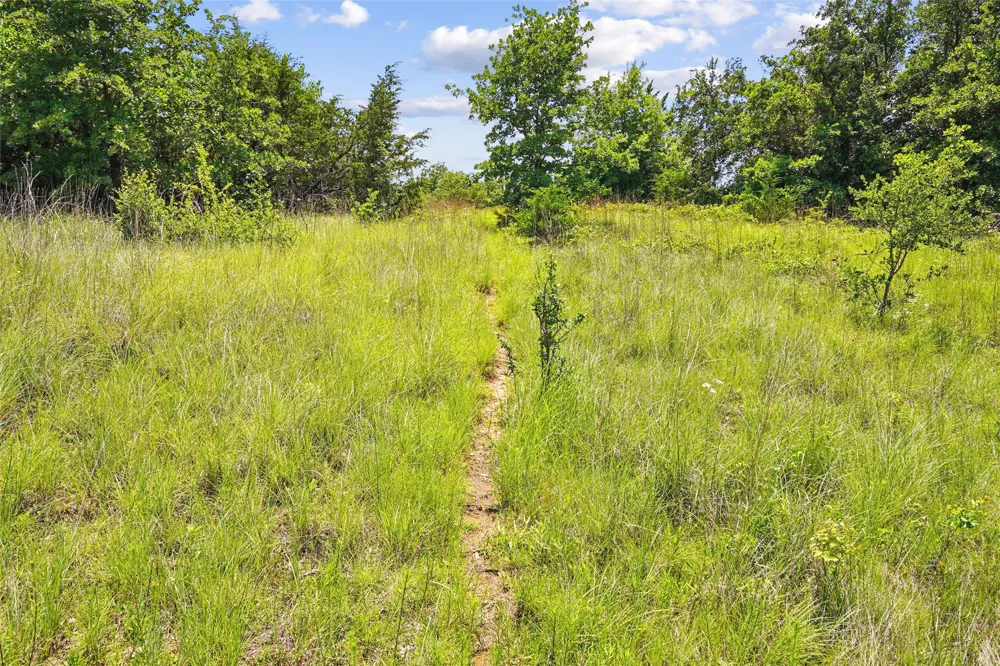 School House Road Forestburg, TX 76239