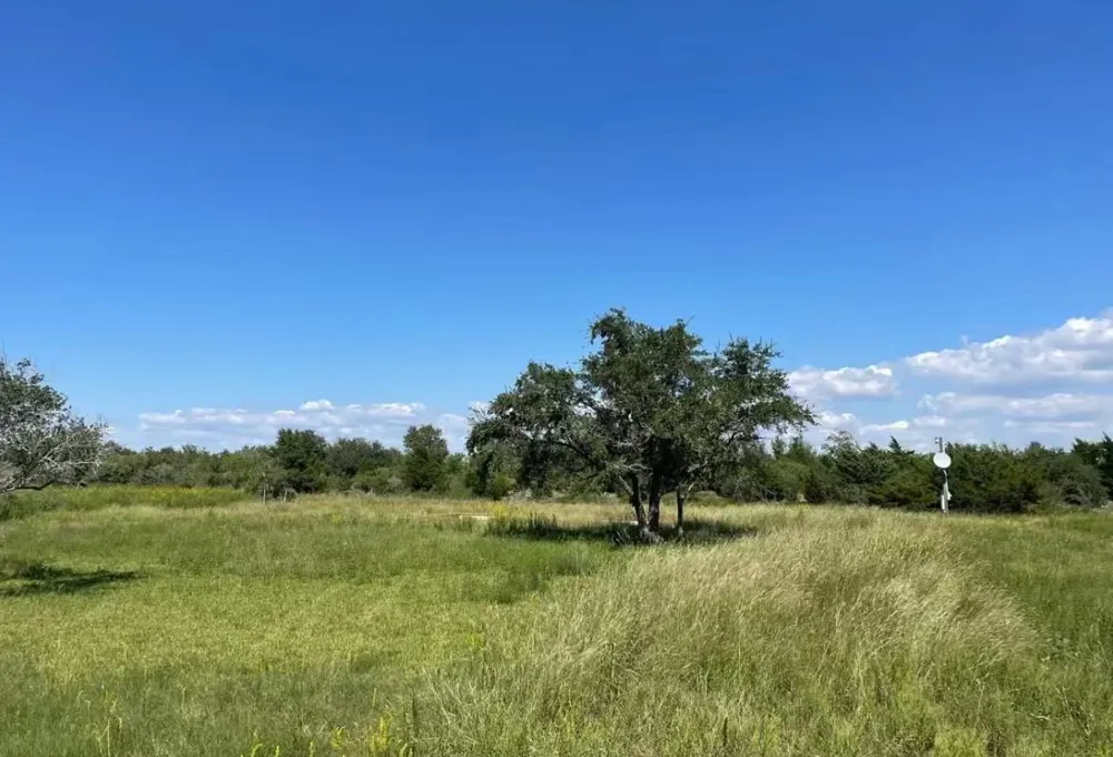708 Bayou Avenue Anahuac, TX 77514