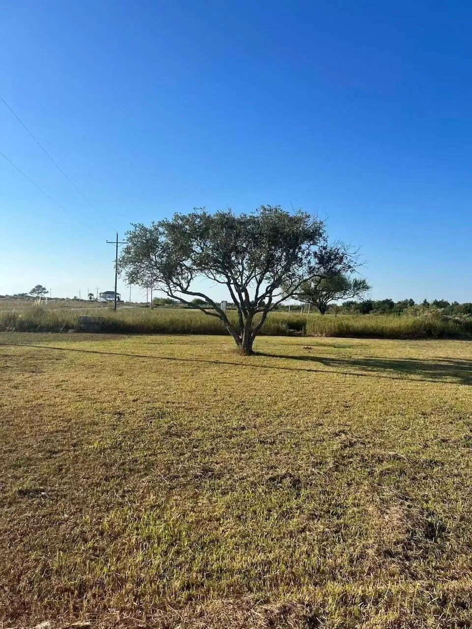 708 Bayou Avenue Anahuac, TX 77514
