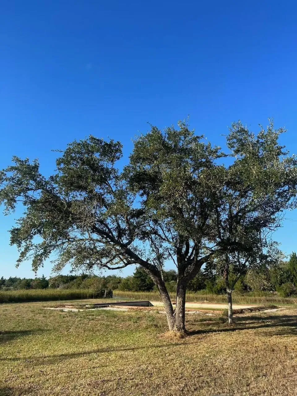 708 Bayou Avenue Anahuac, TX 77514