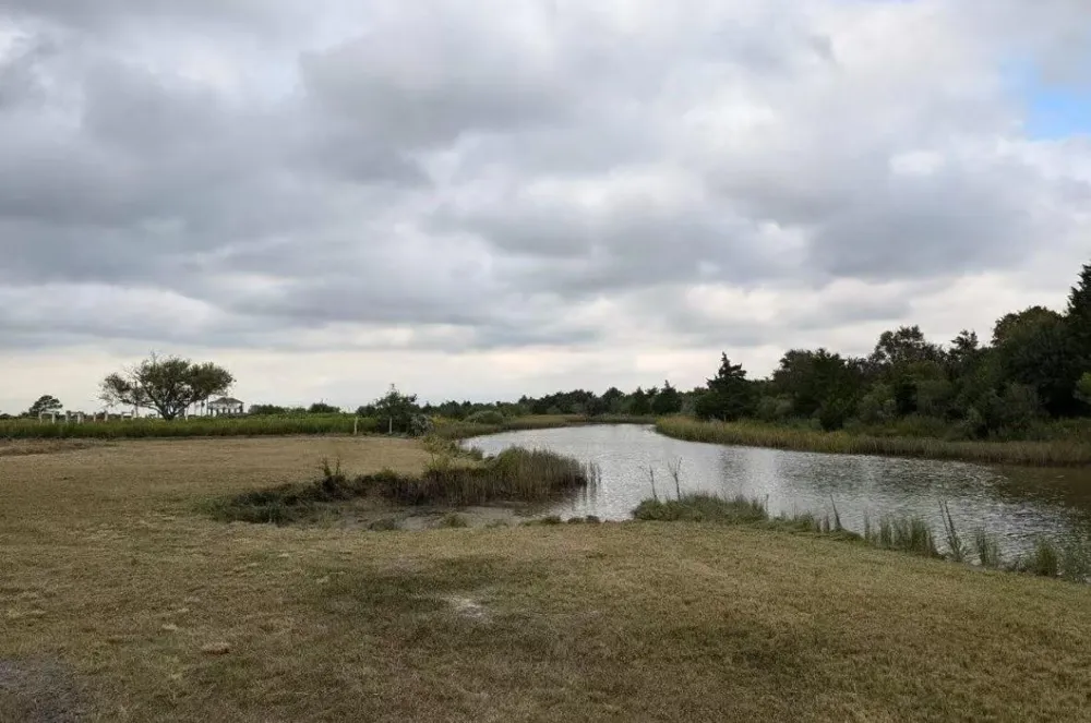 708 Bayou Avenue Anahuac, TX 77514