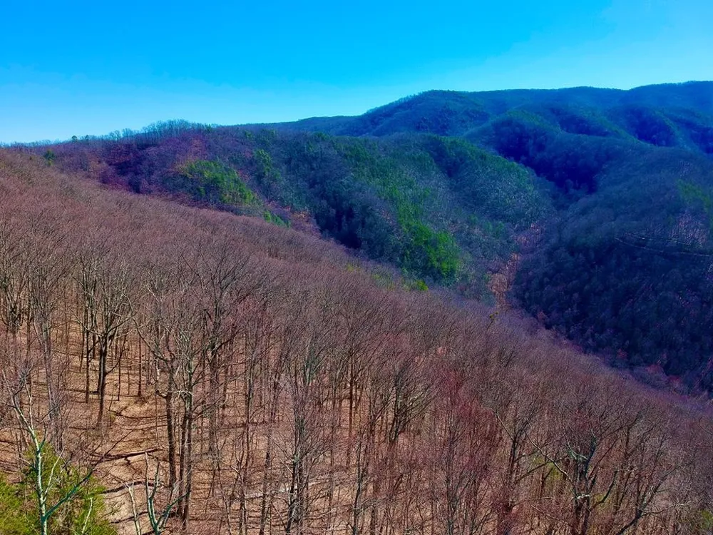 1 RAVENS DEN Way Sevierville, TN 37862