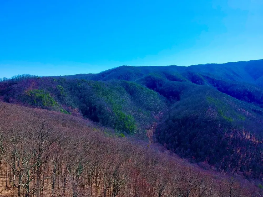 1 RAVENS DEN Way Sevierville, TN 37862