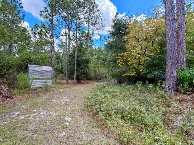 4850 NW 55TH AVENUE Bell, FL 32619
