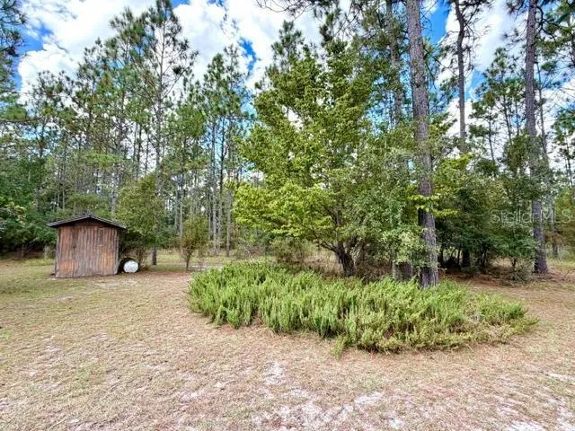 4850 NW 55TH AVENUE Bell, FL 32619