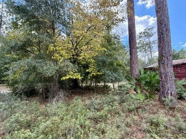 4850 NW 55TH AVENUE Bell, FL 32619