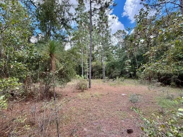 4850 NW 55TH AVENUE Bell, FL 32619