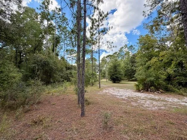 4850 NW 55TH AVENUE Bell, FL 32619