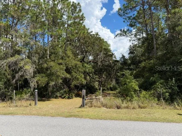 4850 NW 55TH AVENUE Bell, FL 32619