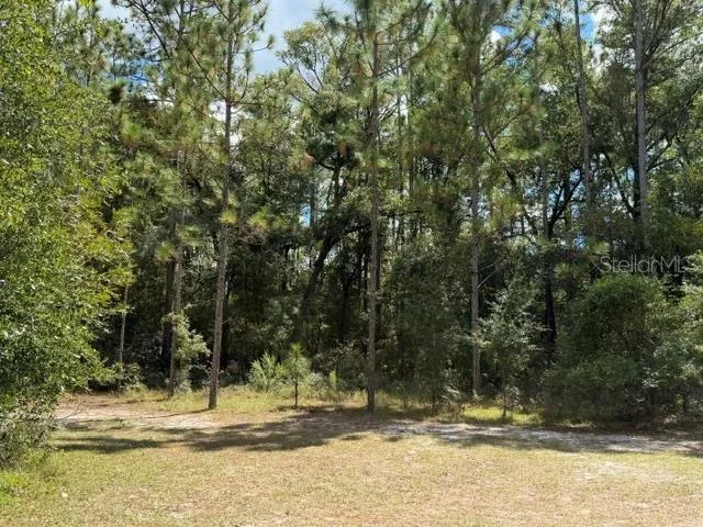 4850 NW 55TH AVENUE Bell, FL 32619