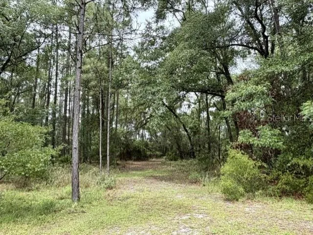 4850 NW 55TH AVENUE Bell, FL 32619