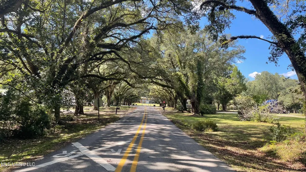 Old Hwy 49 Saucier, MS 39574
