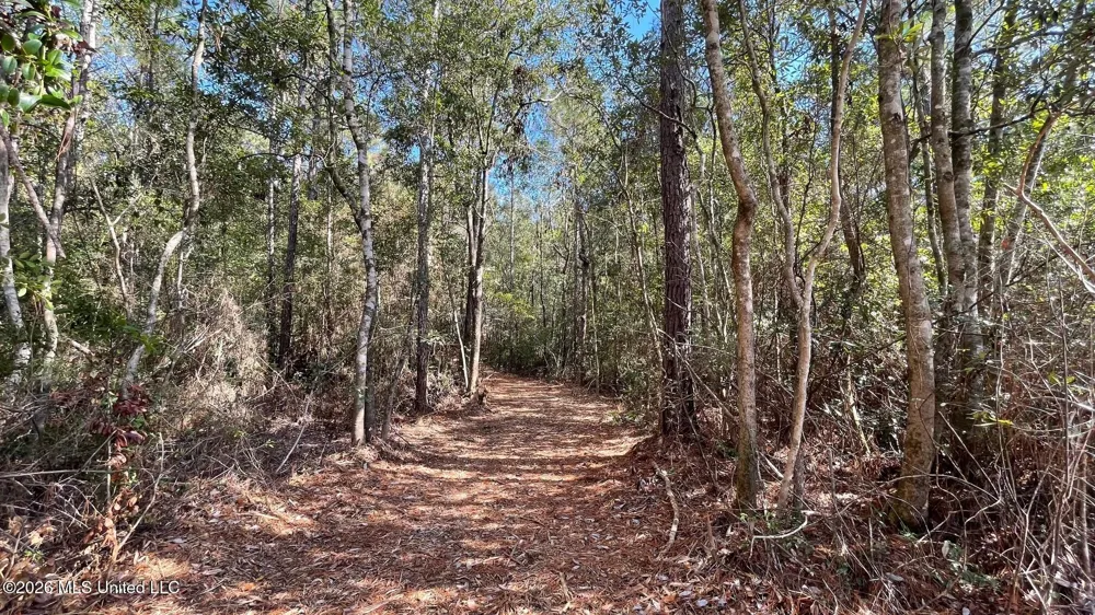 Old Hwy 49 Saucier, MS 39574