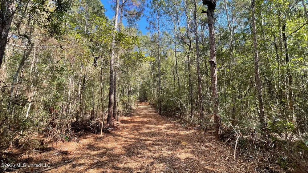 Old Hwy 49 Saucier, MS 39574