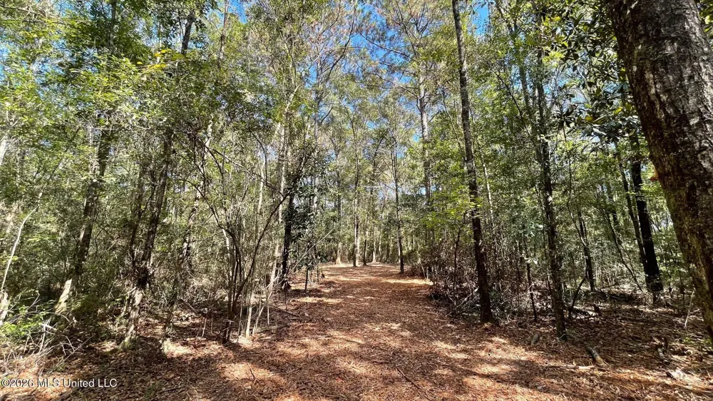 Old Hwy 49 Saucier, MS 39574