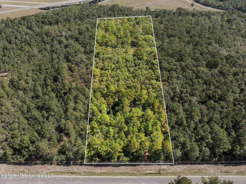 Old Hwy 49 Saucier, MS 39574