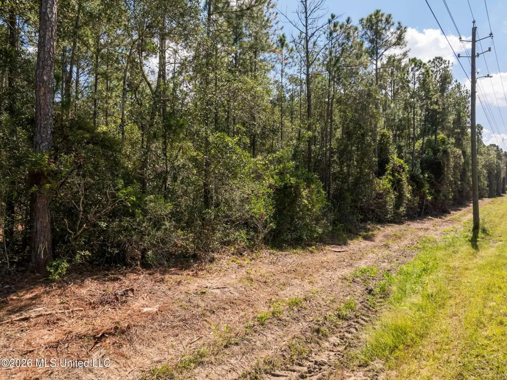 Old Hwy 49 Saucier, MS 39574