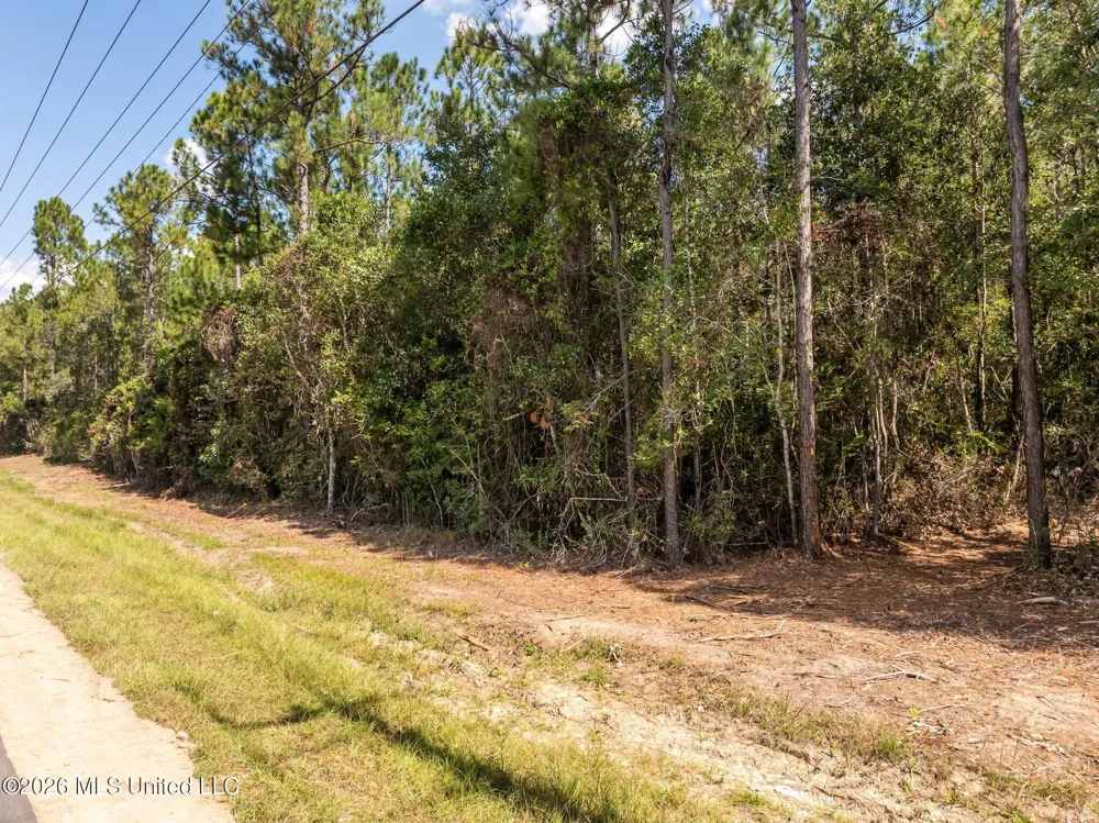 Old Hwy 49 Saucier, MS 39574