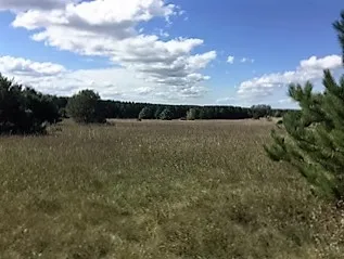 Business Us-131 Clam Lake Township, MI 49601