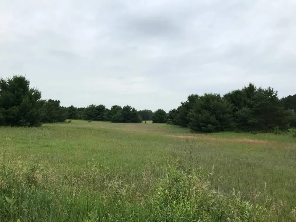 Business Us-131 Clam Lake Township, MI 49601