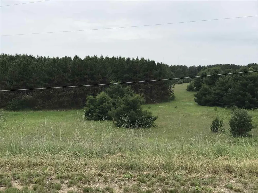 Business Us-131 Clam Lake Township, MI 49601