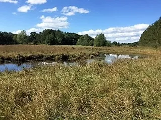 Business Us-131 Clam Lake Township, MI 49601