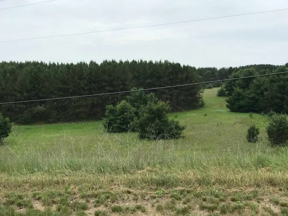 Business Us-131 Clam Lake Township, MI 49601