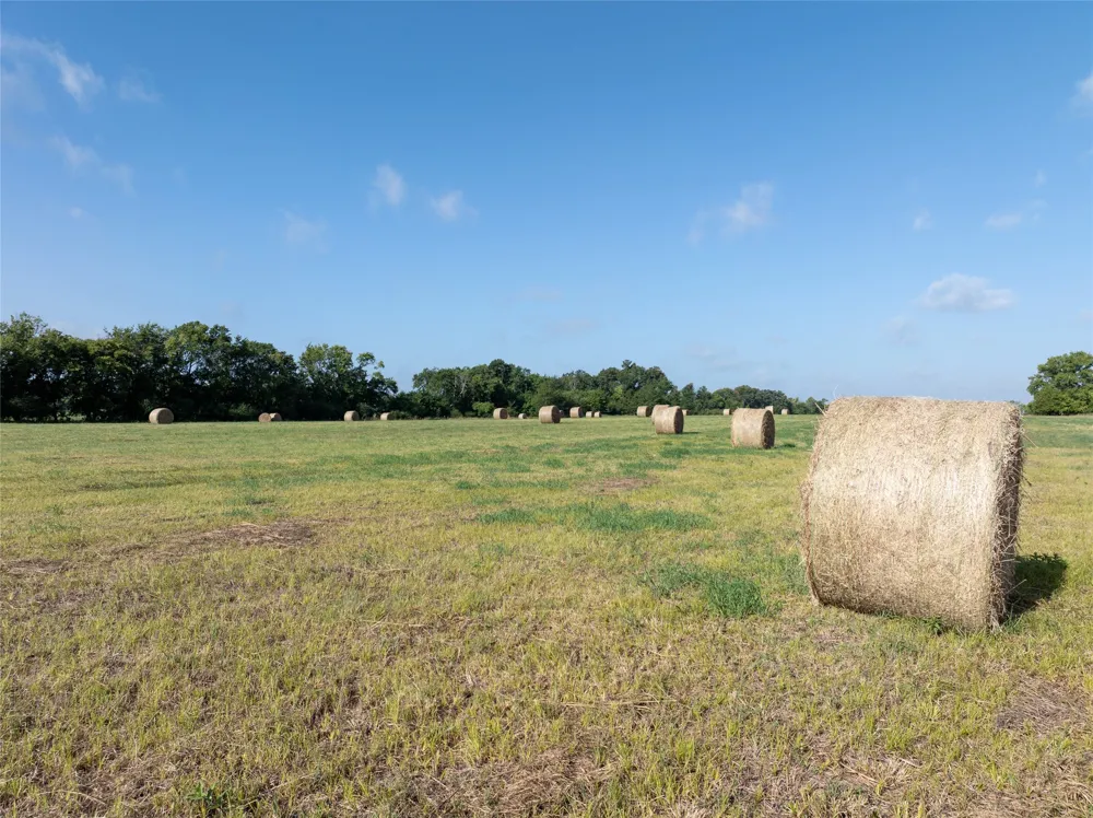 FM 1501 Deport, TX 75435