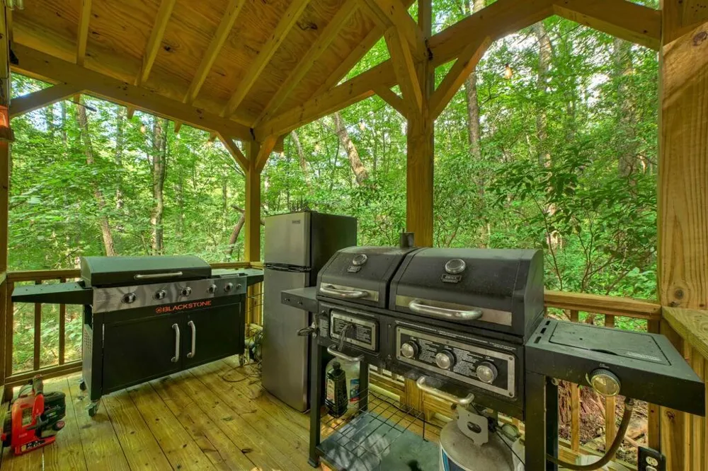 685 Chopped Oak Road Ellijay, GA 30540