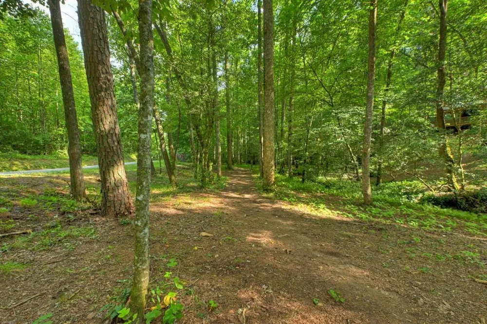 685 Chopped Oak Road Ellijay, GA 30540