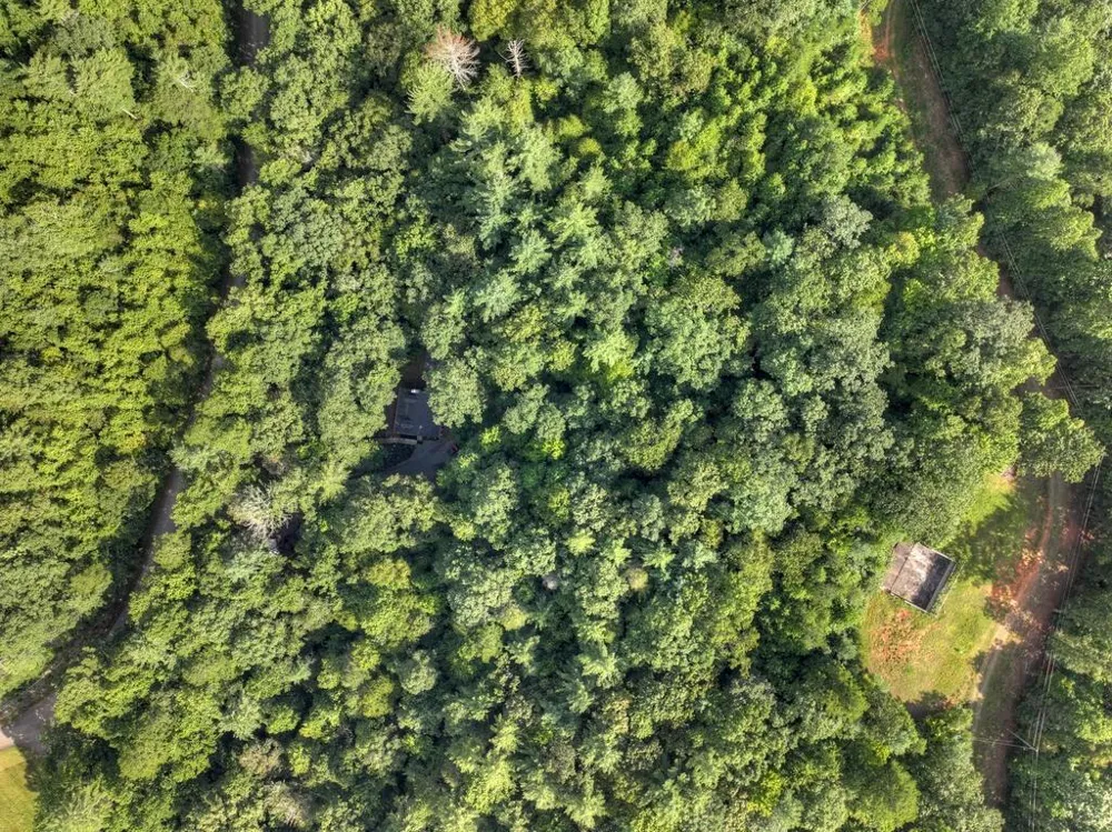 685 Chopped Oak Road Ellijay, GA 30540