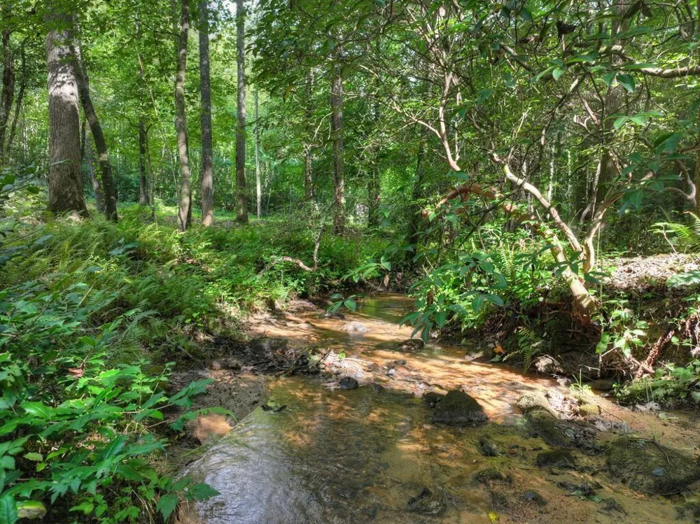 685 Chopped Oak Road Ellijay, GA 30540