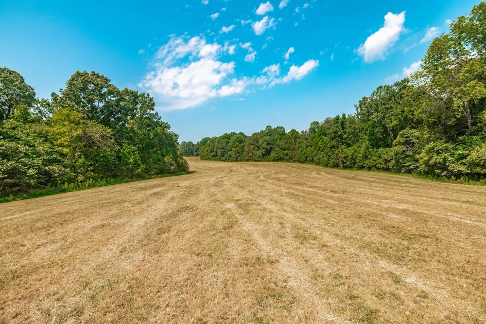 2313 Little Bartons Creek Rd Cumberland Furnace, TN 37051
