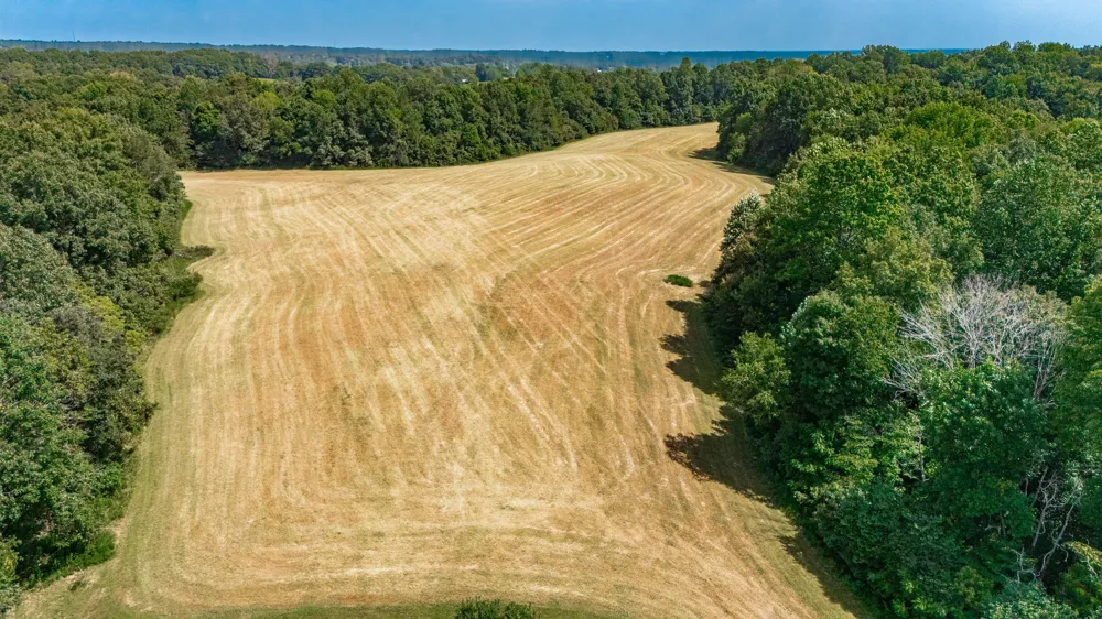 2313 Little Bartons Creek Rd Cumberland Furnace, TN 37051