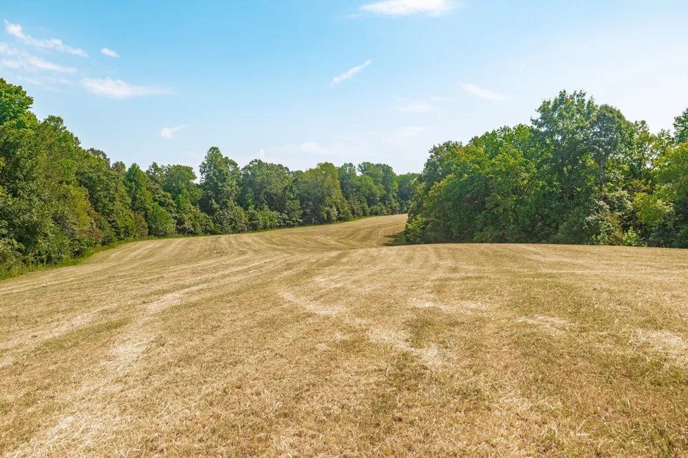 2313 Little Bartons Creek Rd Cumberland Furnace, TN 37051